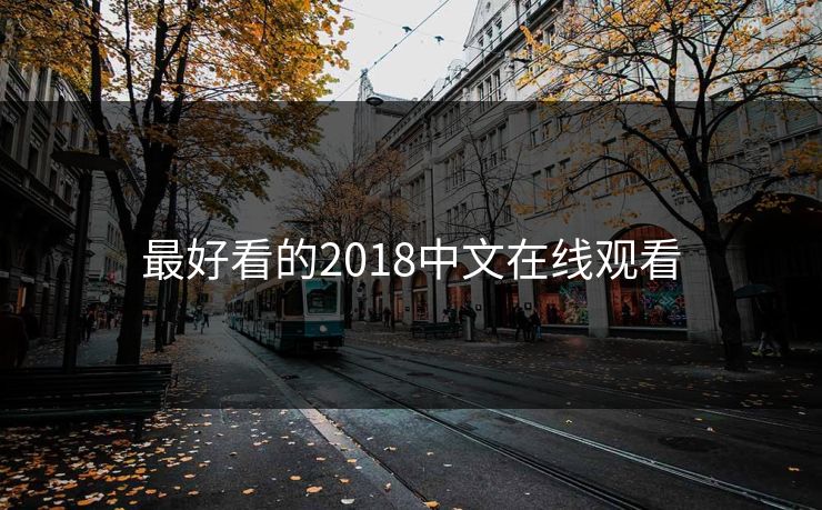 最好看的2018中文在线观看